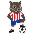 BG真人電子騎行袖珍版-BG真人電子騎行正版APP下载链接/安卓IOS/手机版